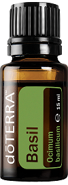 Pures Basilikumöl von doTERRA – Ocimum basilicum – Basil